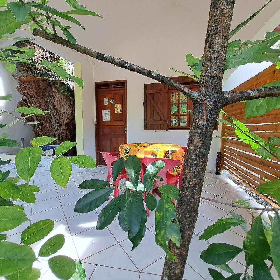 Residence Les Manguiers 黑角 外观 照片