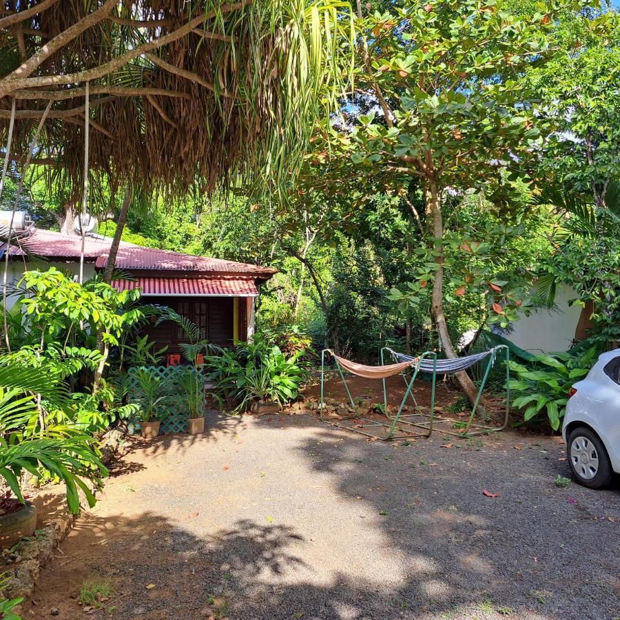 Residence Les Manguiers 黑角 外观 照片
