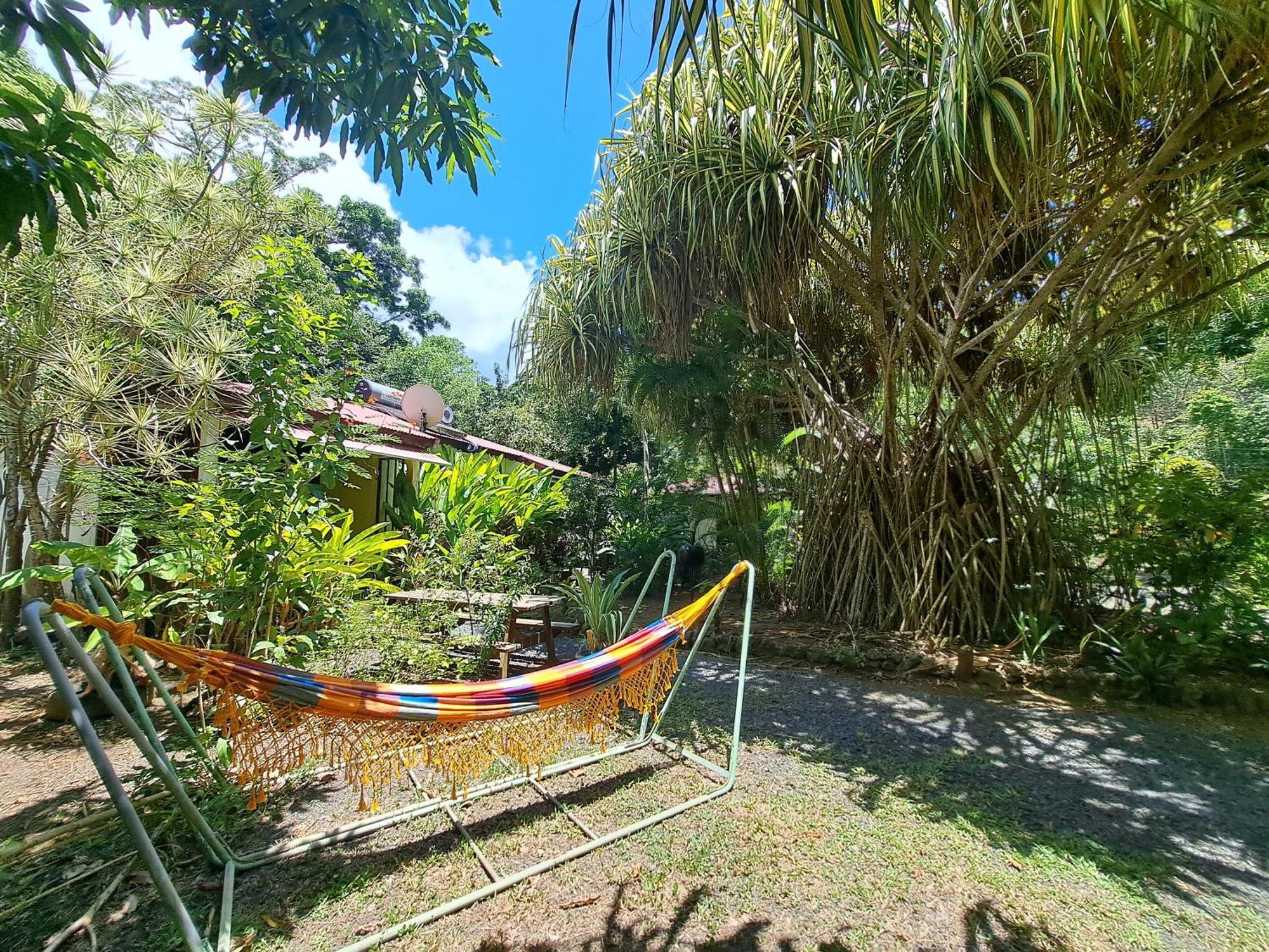 Residence Les Manguiers 黑角 外观 照片