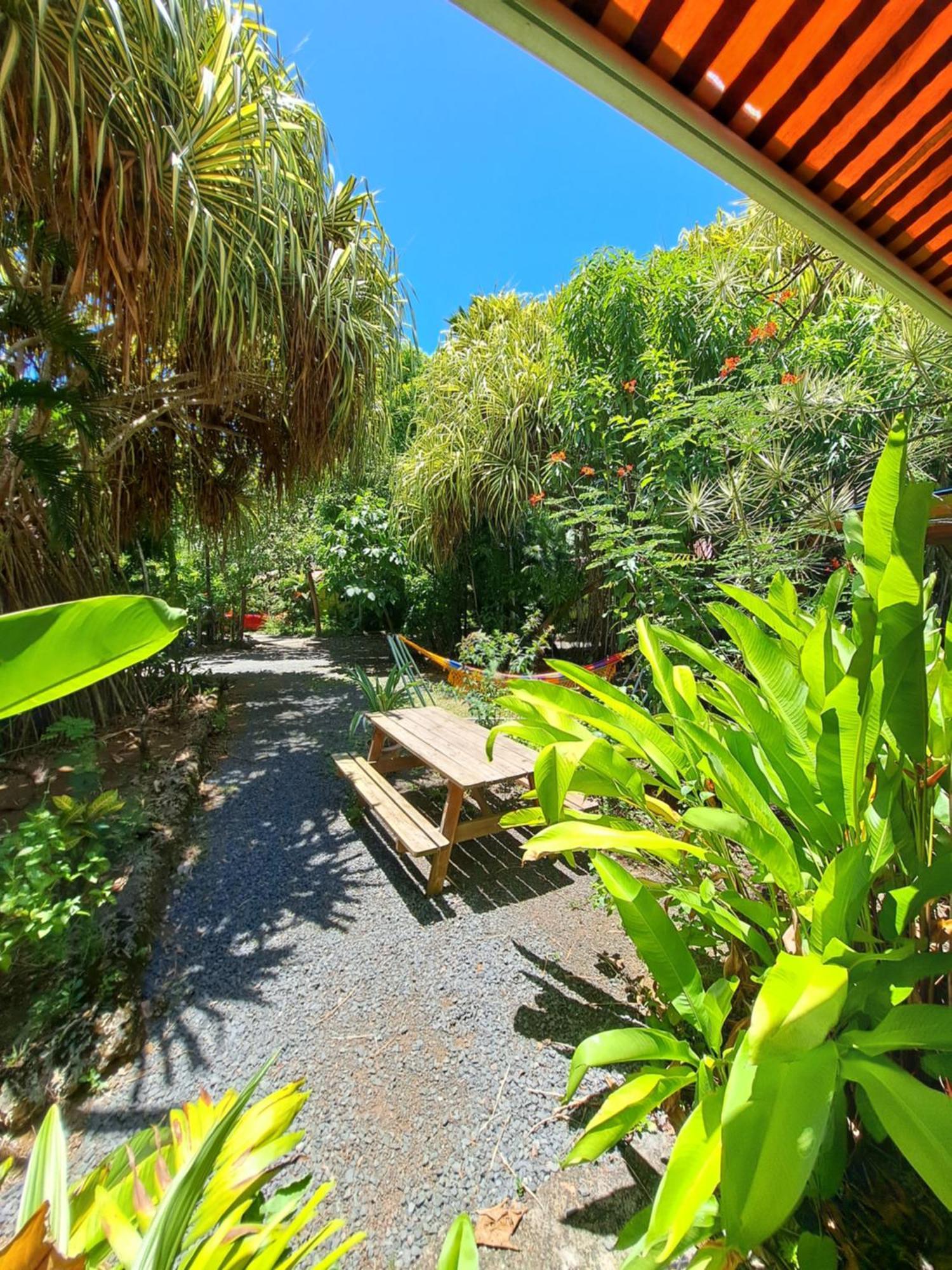 Residence Les Manguiers 黑角 外观 照片