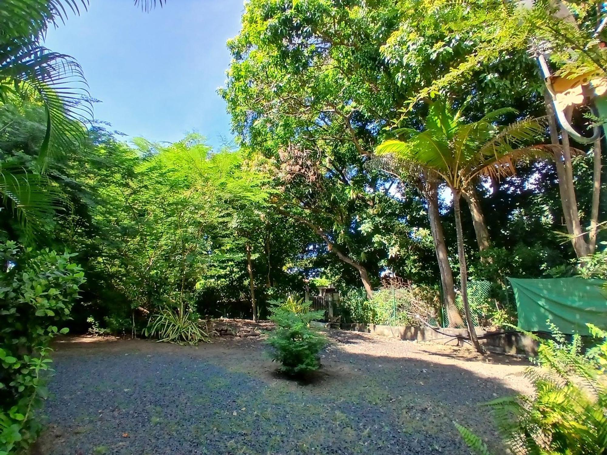 Residence Les Manguiers 黑角 外观 照片