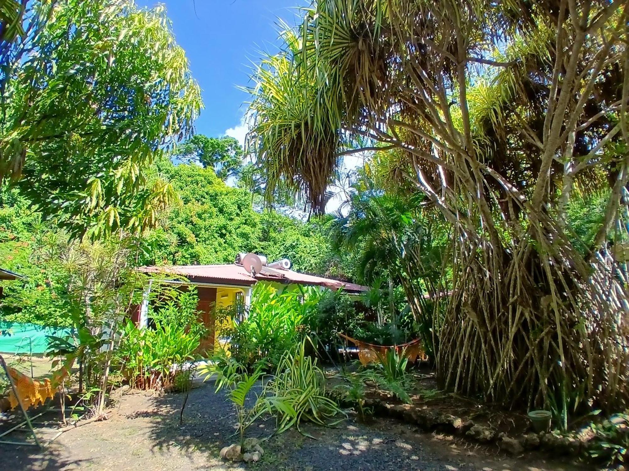 Residence Les Manguiers 黑角 外观 照片