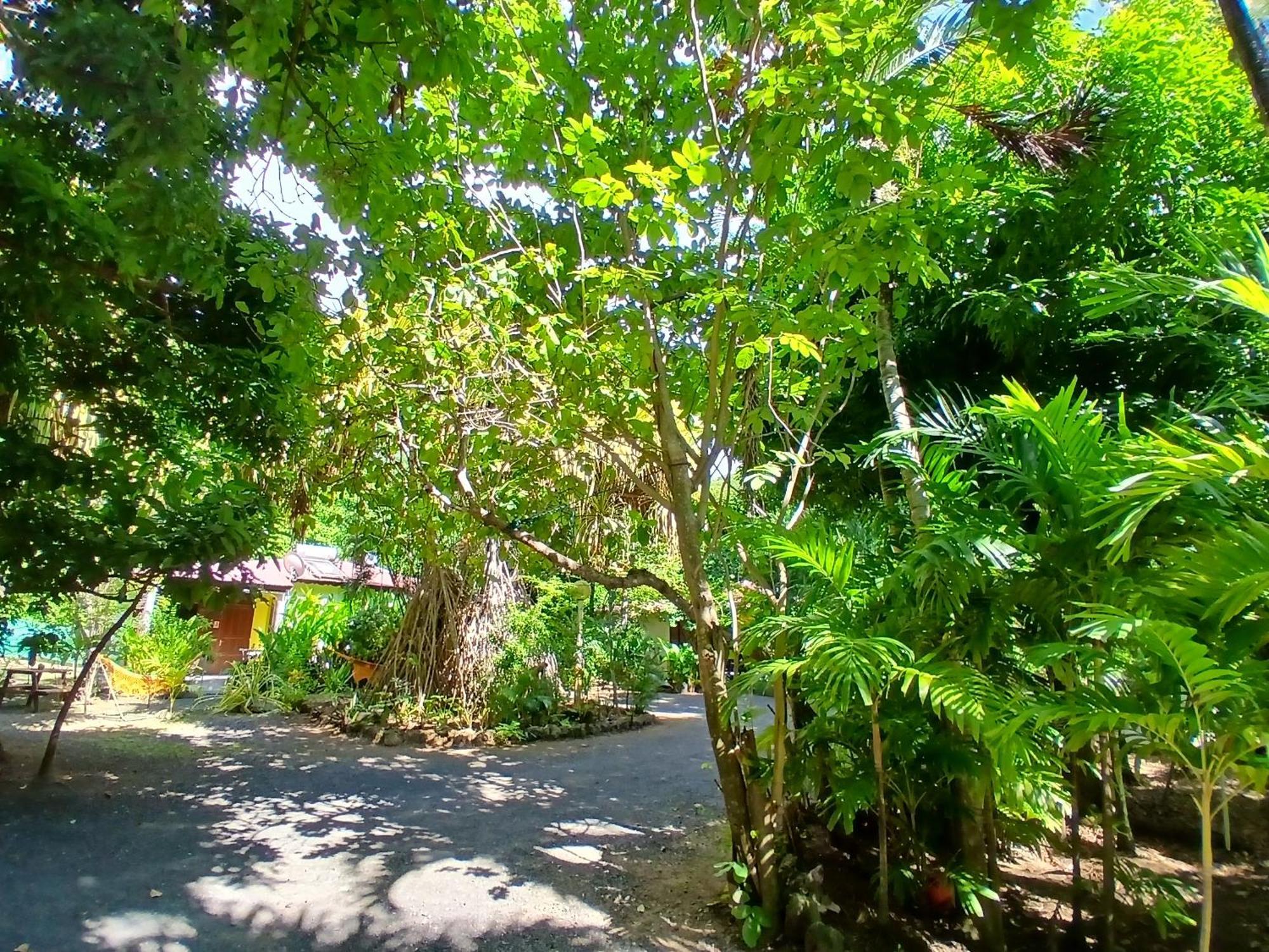 Residence Les Manguiers 黑角 外观 照片