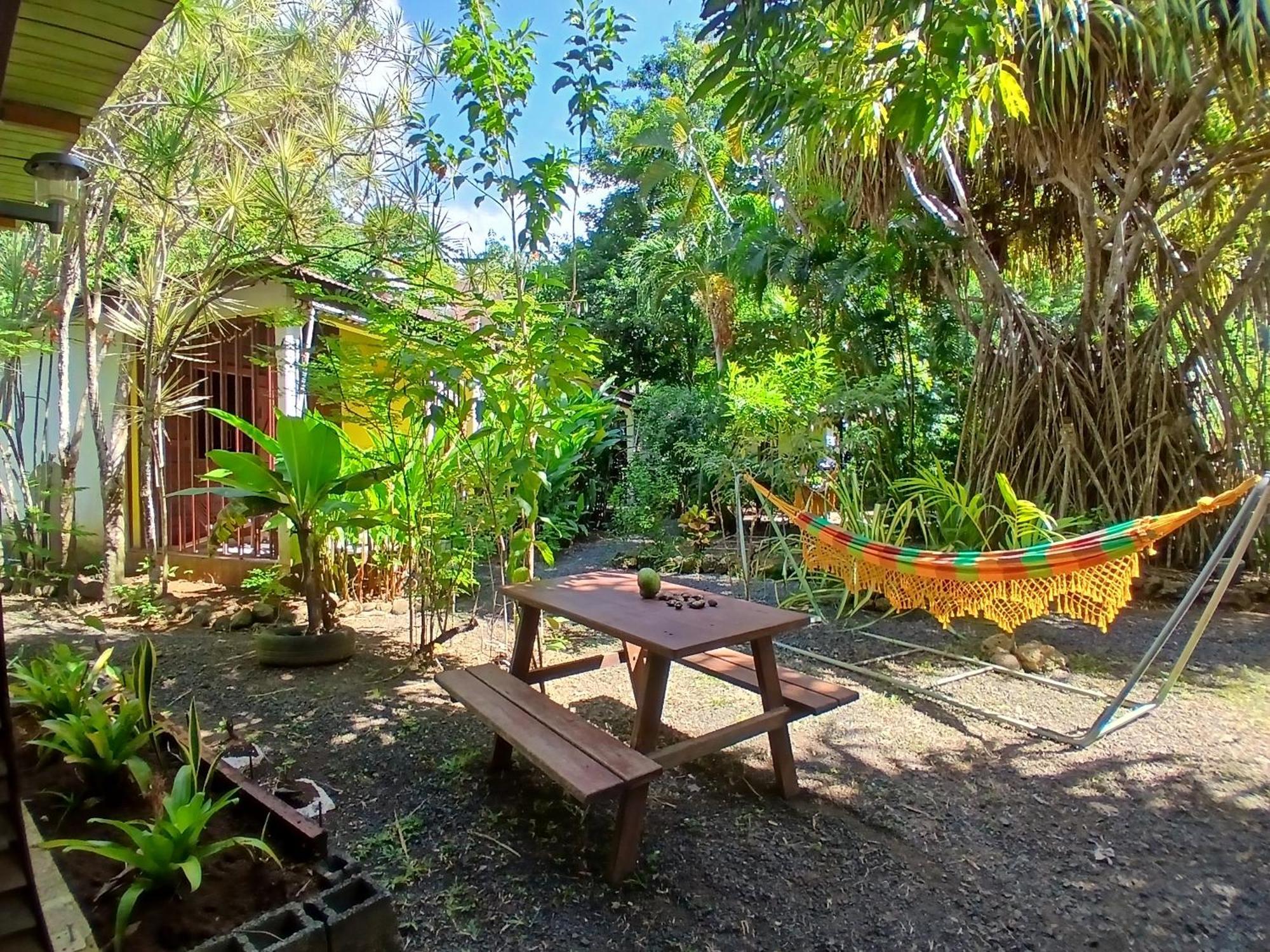 Residence Les Manguiers 黑角 外观 照片