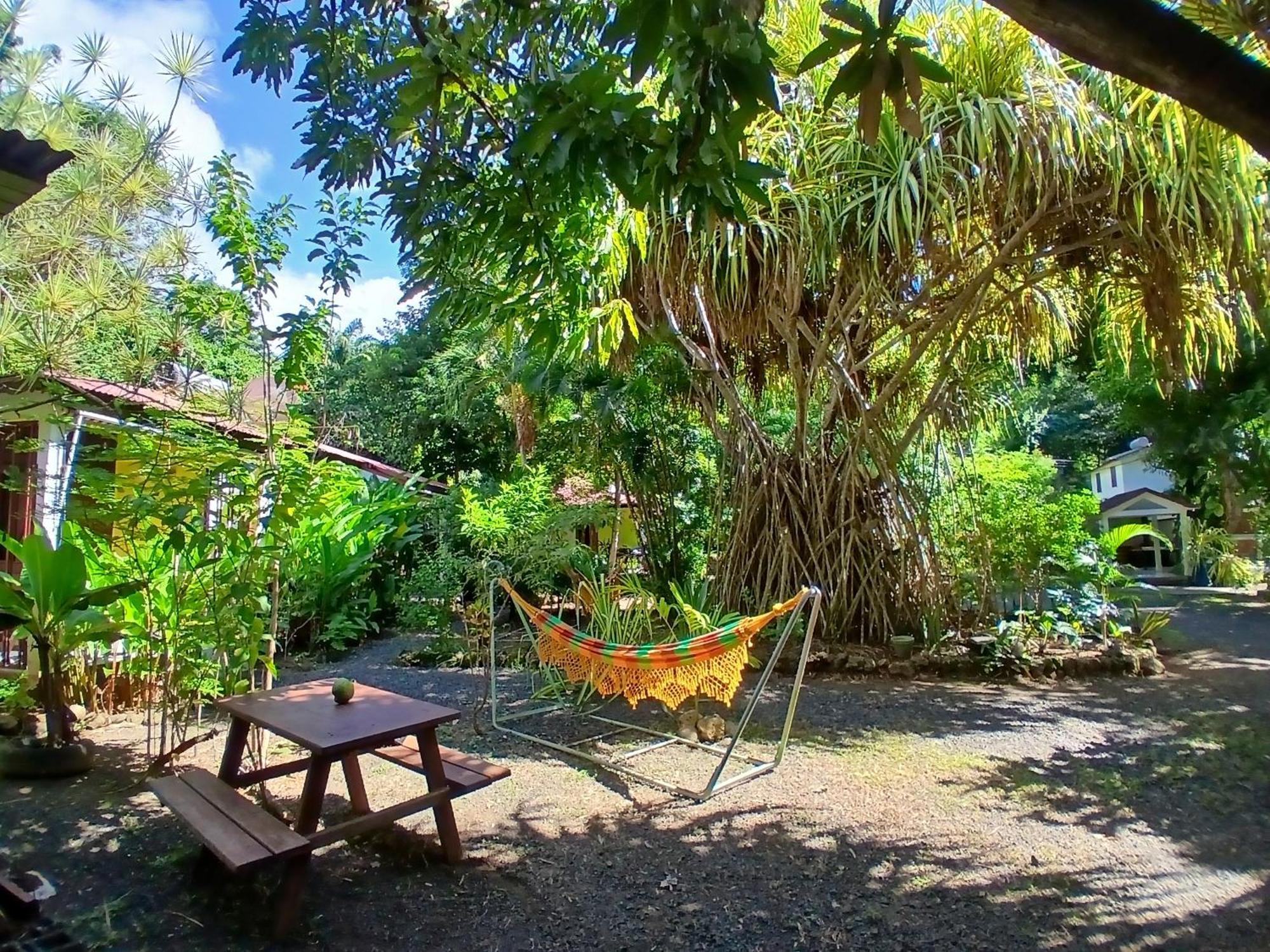 Residence Les Manguiers 黑角 外观 照片