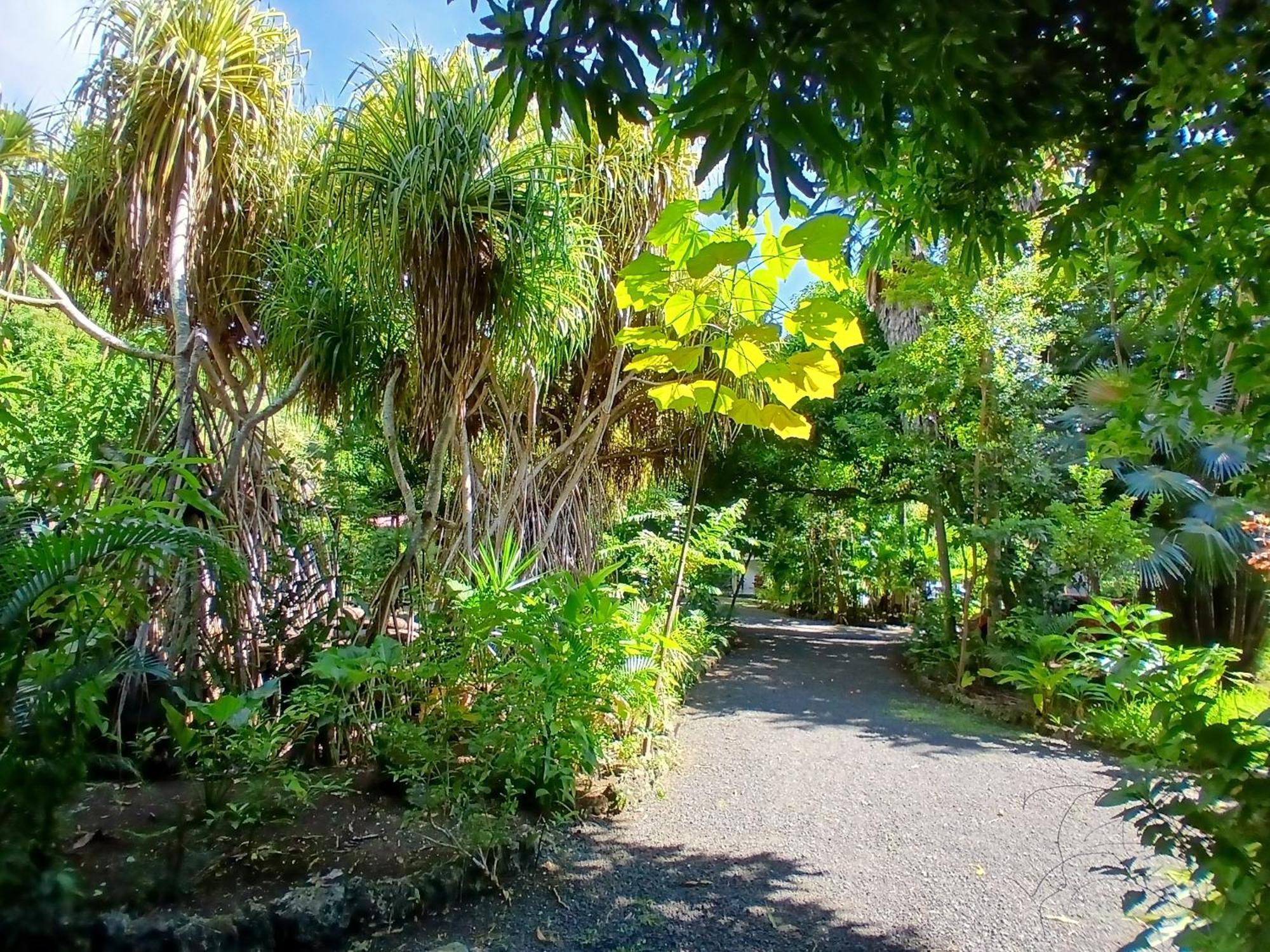 Residence Les Manguiers 黑角 外观 照片