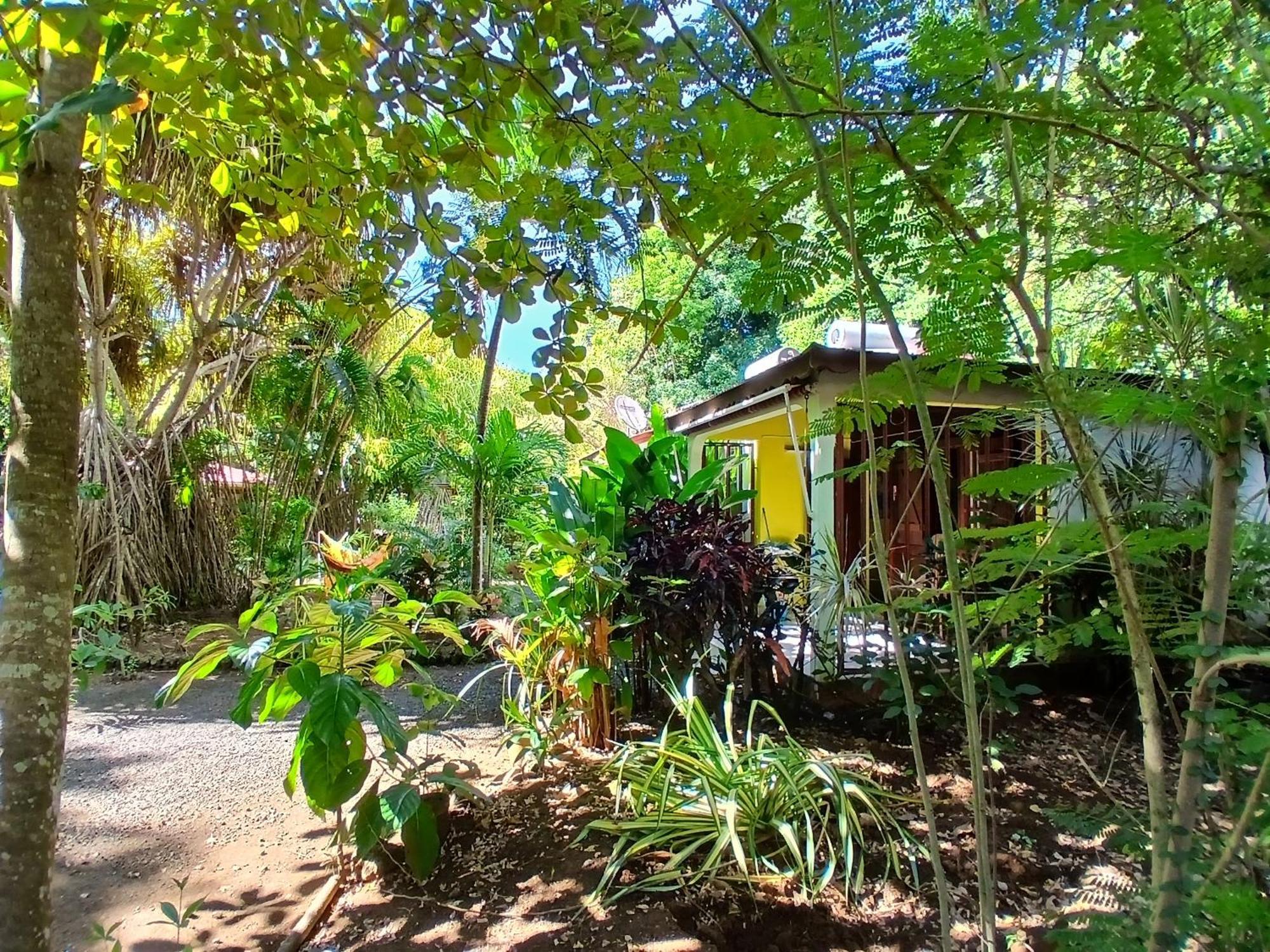 Residence Les Manguiers 黑角 外观 照片