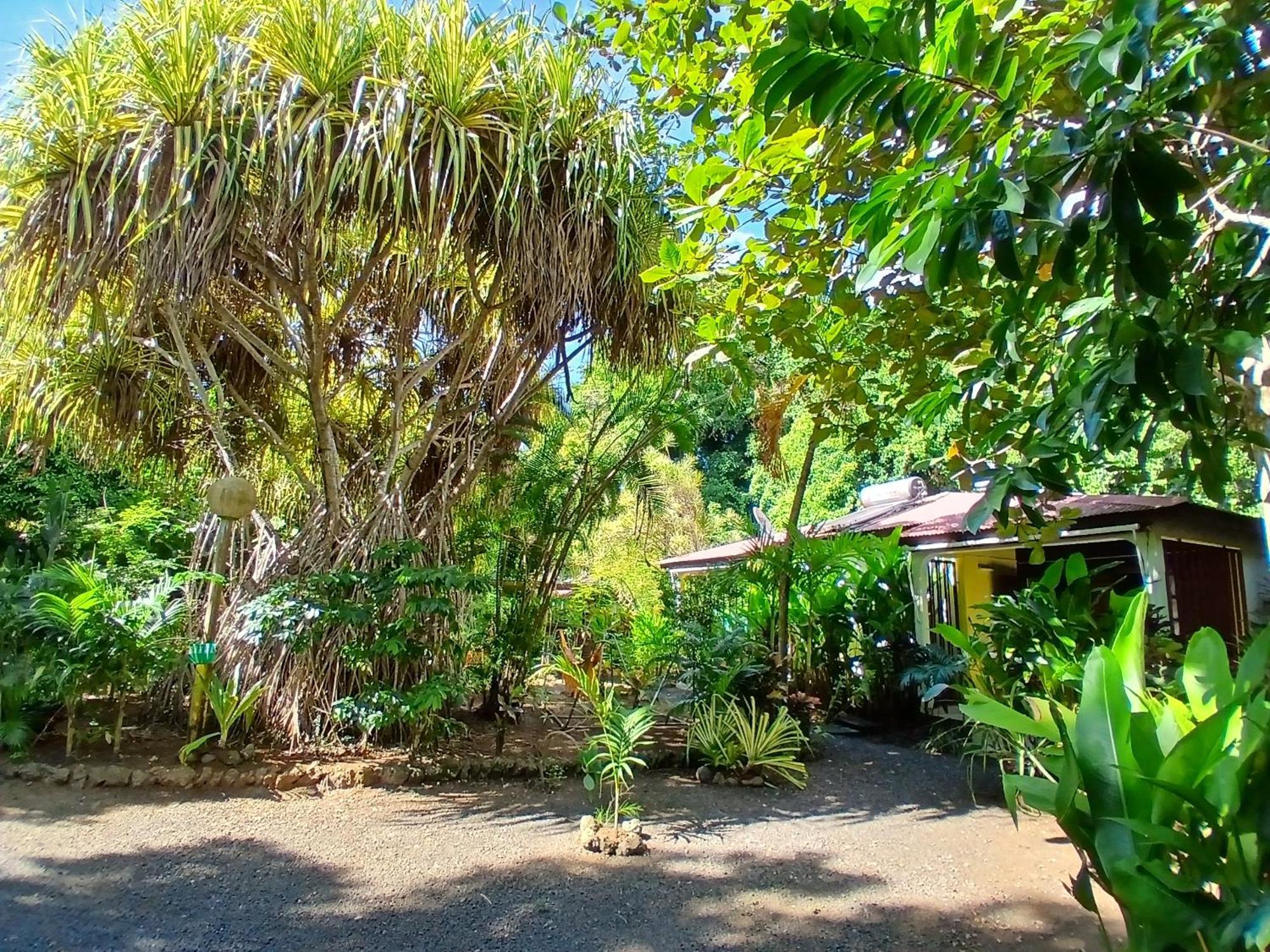 Residence Les Manguiers 黑角 外观 照片