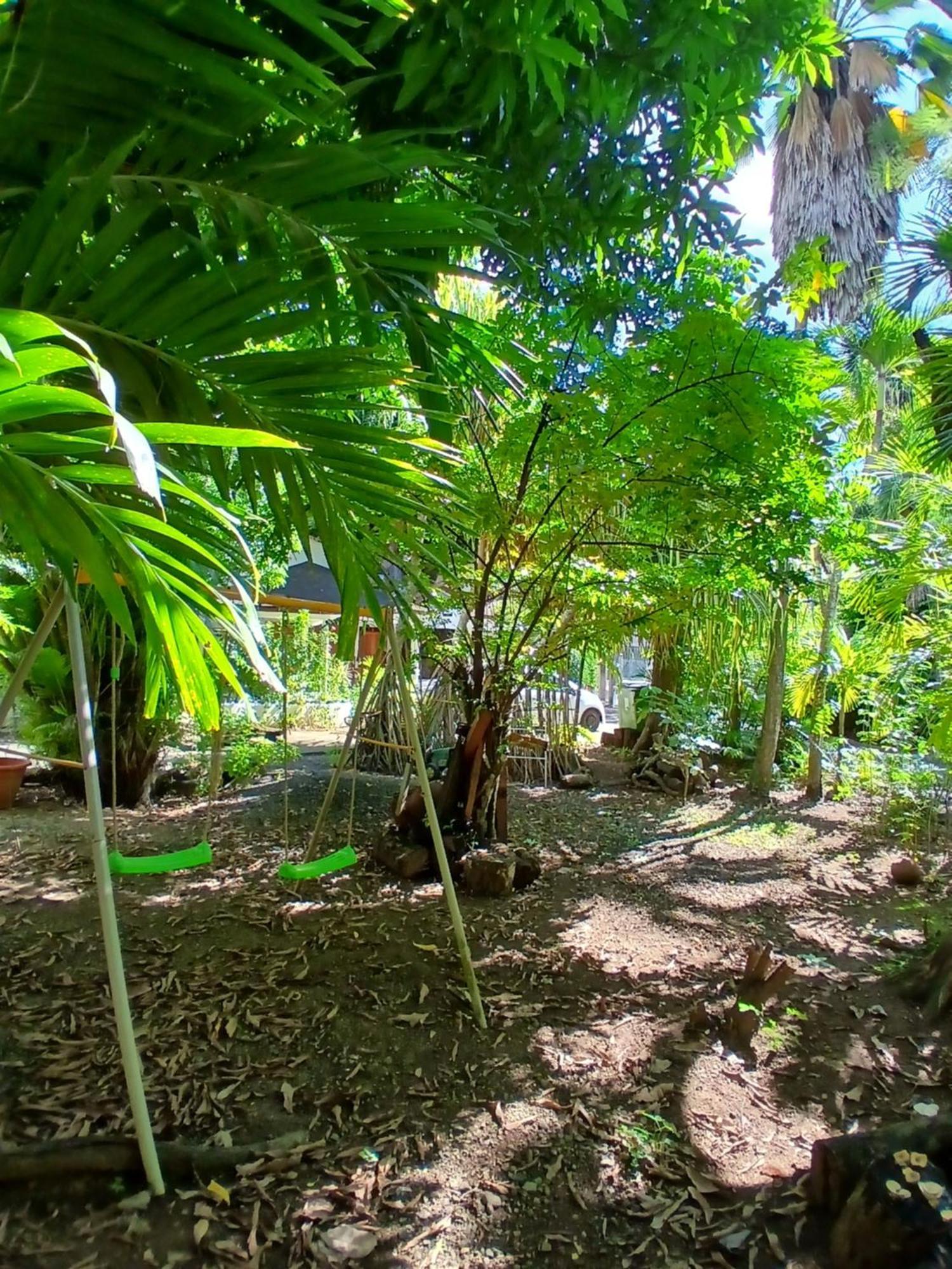 Residence Les Manguiers 黑角 外观 照片