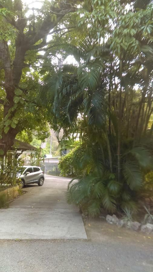 Residence Les Manguiers 黑角 外观 照片